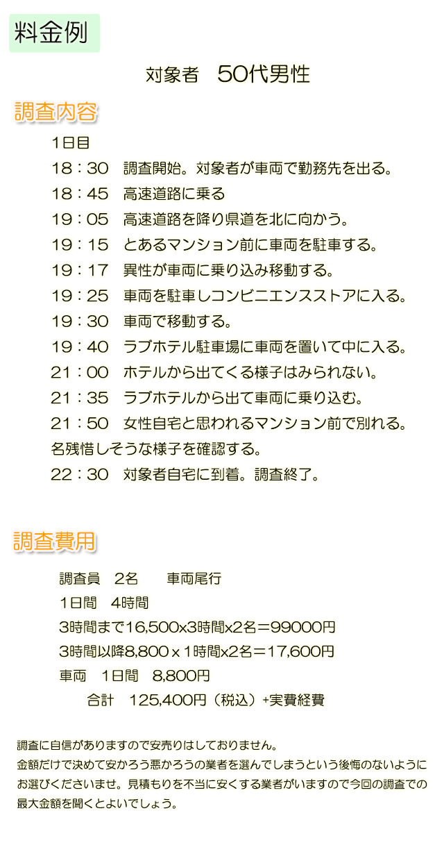 浮気調査の料金例1