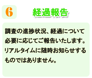 浮気調査の経過報告