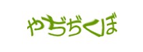 Authentication image